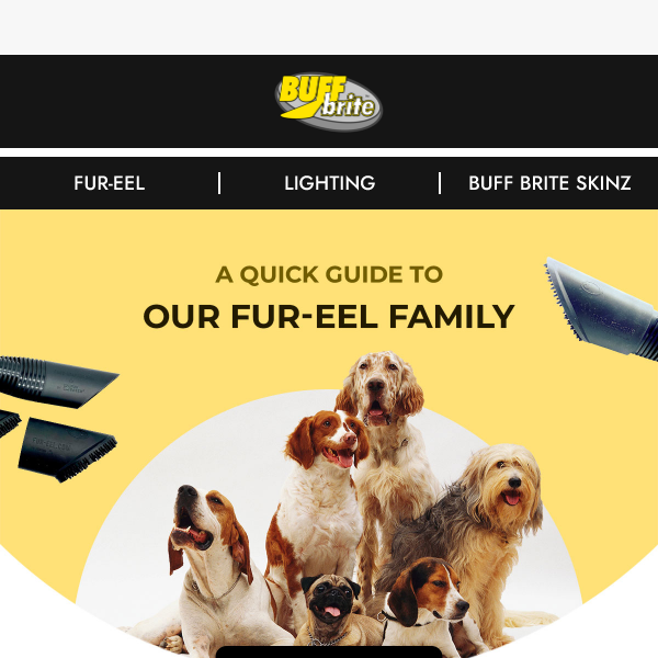 A Quick Guide to Our Fur-eel Family