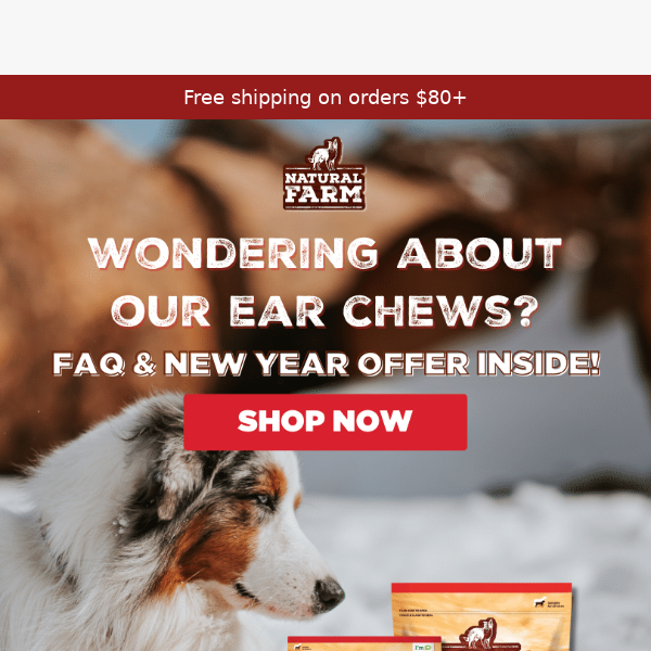 Got questions about our pig ear chews?