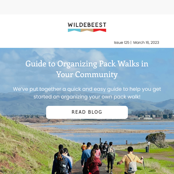 Organize a Pack Walk in Your Community!