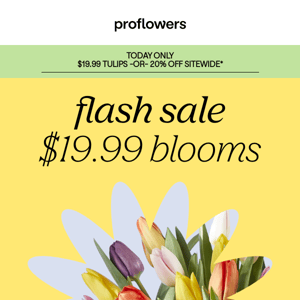 Tulips under $20