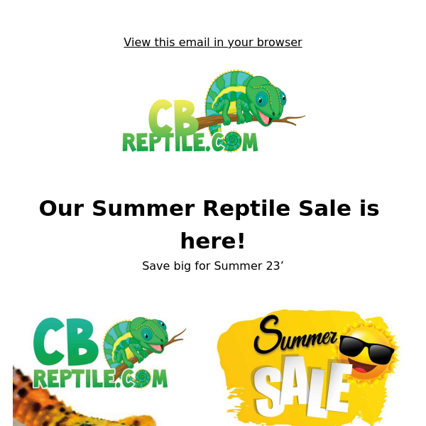 Summer 23' Reptile Extravaganza is here