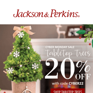 20% OFF Live Tabletop Trees for the Holidays