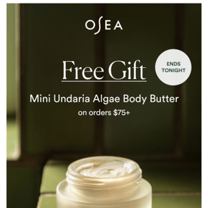 Ends Tonight: FREE Body Butter