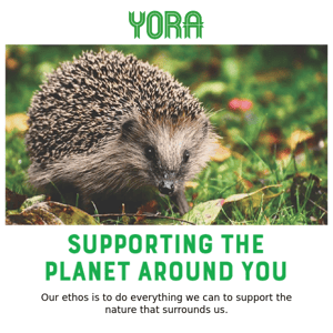 Support your local wildlife this Autumn 🍂