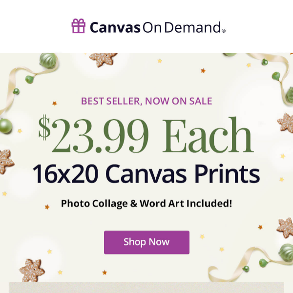 Grab the best-selling 16x20 canvas for $23.99!