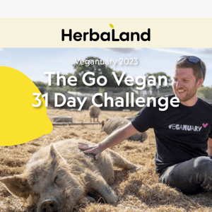 Join us in participating in Veganuary 🌱