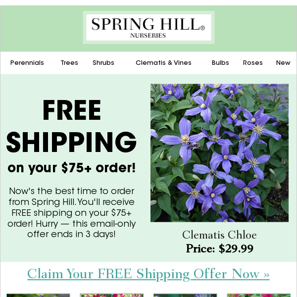 Don't forget your FREE Shipping offer!