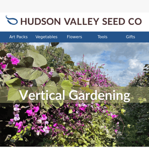 Go vertical with these spectacular trellised varieties.