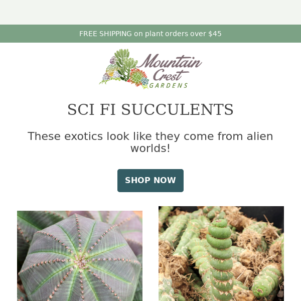 Sci Fi Succulents 👽