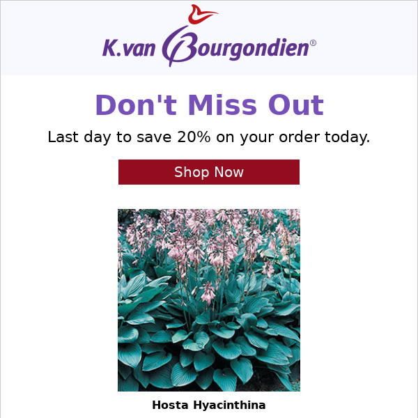 Last day to save on hostas.