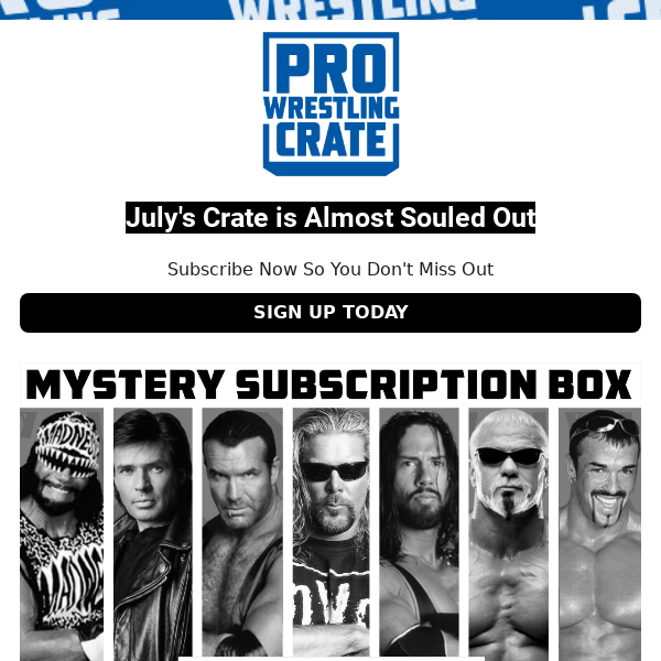 Pro Wrestling Crate - Overstock_Crate