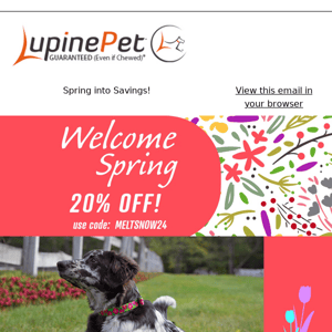 Spring Into Savings with Our Sale 🌷