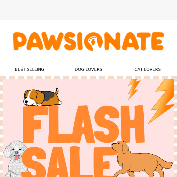 ❤️⚡ [ONLY A FEW HOURS]⚡SEPTEMBER FLASH SALE ✨