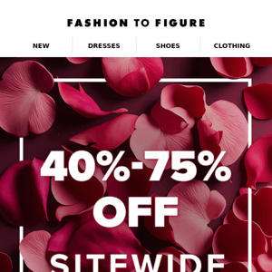 Don't Miss Out, Fashion to Figure