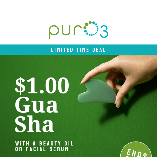 Treat yourself! ✨ Get a Gua Sha for just $1.00!