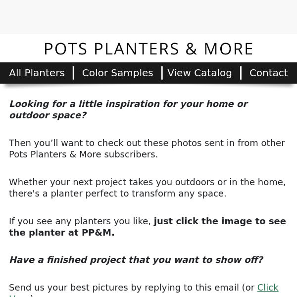 Spark Your Creativity With These Planter Pics
