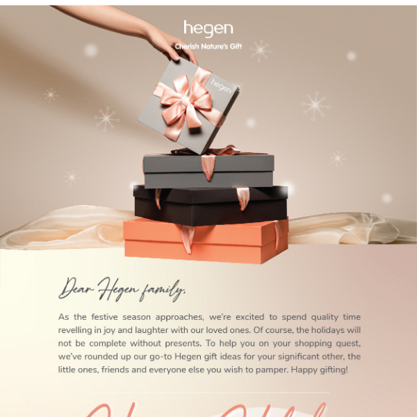 Special Festive Deals: Holidays with Hegen! 🎉