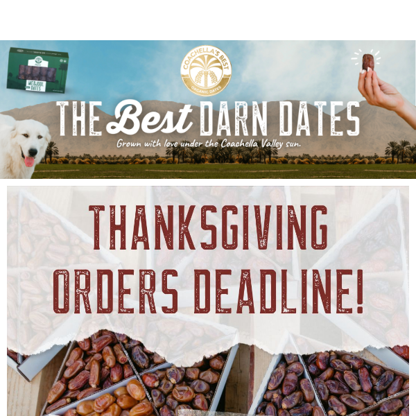 URGENT: Get Your Thanksgiving Dates On Time! 🦃🙌
