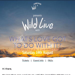 Wild Live presents a Tribute to Tina Turner 🎶