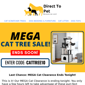 Final Hours: MEGA Cat Clearance Ends Tonight!