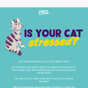 Is your cat stressed?