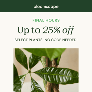 final hours- up to 25% off