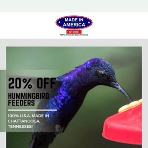 Hummingbird Feeder Sale: 20% Off Now🐦