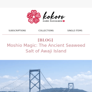 🌊[SNEAK PEEK & NEW SINGLE ITEM]  Premium Moshio (Seaweed Salt)