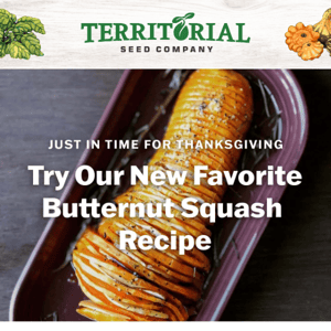 Savor the season with this butternut squash recipe
