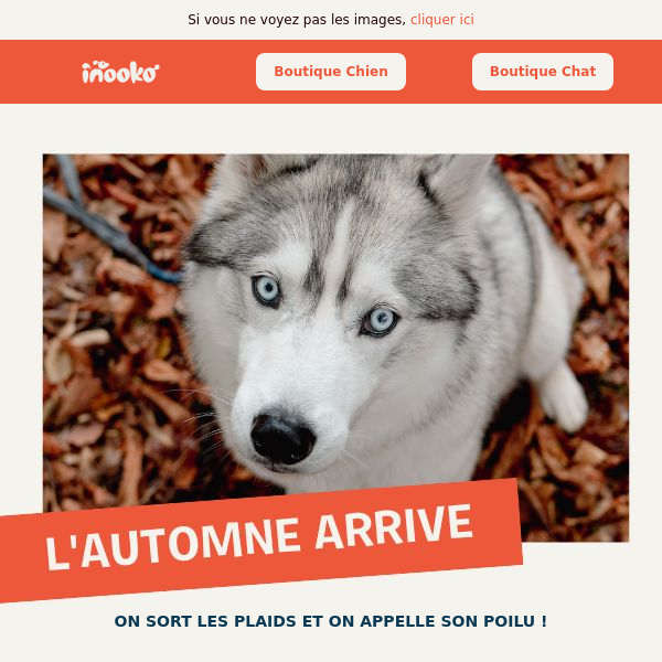 PELUCHE POUR CHIEN PLAY - APPAREIL PHOTO 📷 – THE WOUF