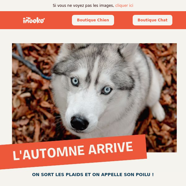 Jouet interactif pour chien - Feuilles d'Automne - HugSmart – inooko