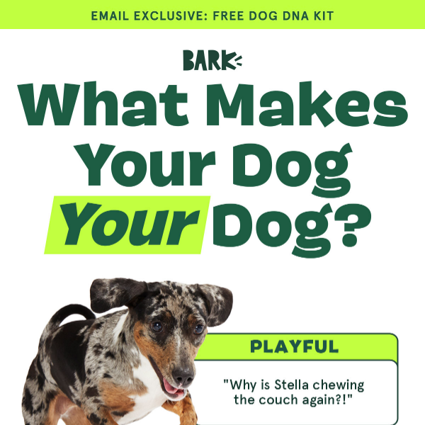 LAST CHANCE: Your dog’s FREE 🧬 test!
