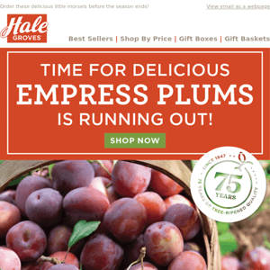 Time for Delicious Empress Plums is Running Out!