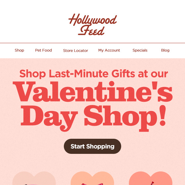 Shop Last-Minute Valentine's Day Gifts! 😻❤️🩷