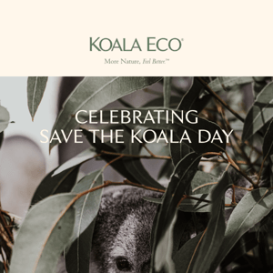 In support of 'Save the Koalas' Day 🐨