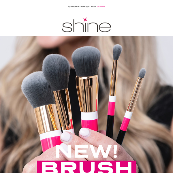 NEW! Shine Brush Set