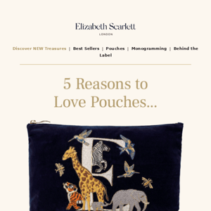 5 Reasons you need a Pouch ✨