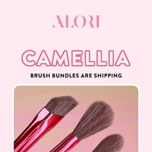 Psst... Camellia Brush Bundles Are Shipping! ✈️