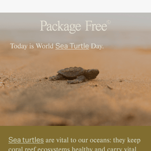 Today is World Sea Turtle Day.