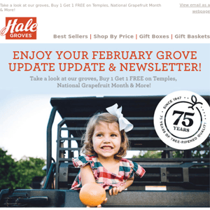 Enjoy Your February Grove Update Update & Newsletter!