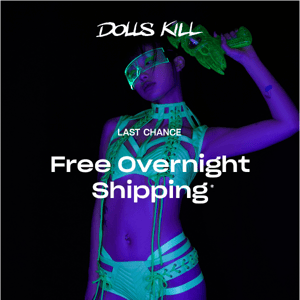 OVERNIGHT SHIPPING... FREE