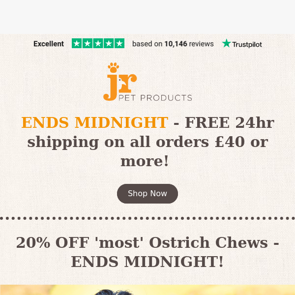 Ends Midnight - FREE 24hr shipping and 20% OFF most Ostrich