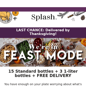 ALERT: Splash Wines, This Is Your LAST CHANCE For Guaranteed Thanksgiving Wines!