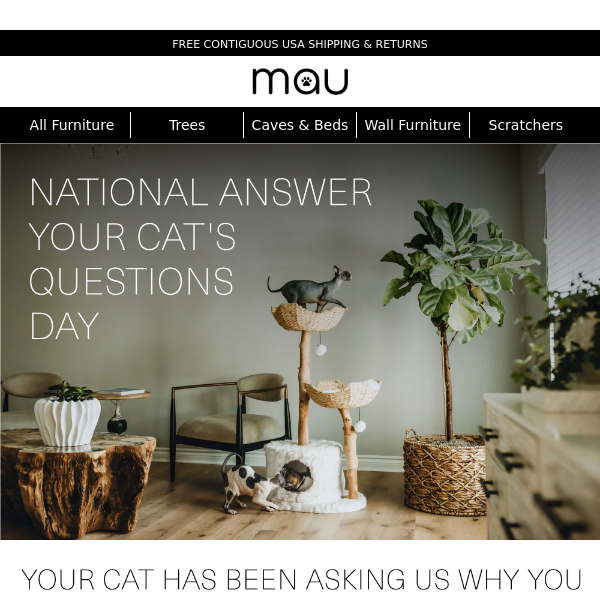 National Answer Your Cat's Question Day
