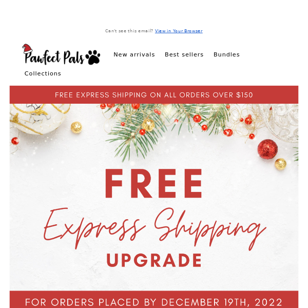FREE express shipping upgrade this holiday season! 🦌🐶🎁