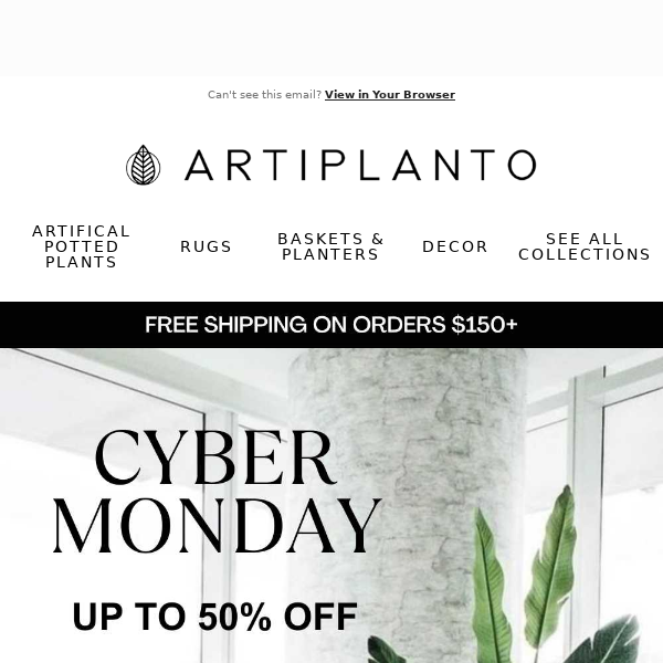 🌿1 Day Only: Cyber Monday Deals For Artiplanto