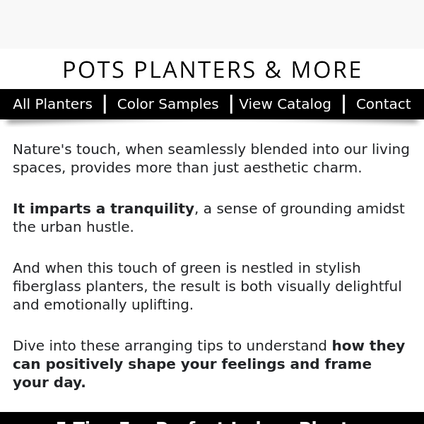 🍵 Finding Tranquility in Your Home: The Planter Effect