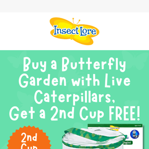 Flutter You Waiting For? Get FREE Caterpillars!