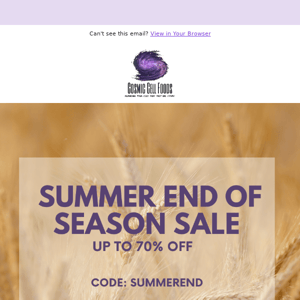 Last Call: 70% OFF End of Season Summer Sale! 🌿