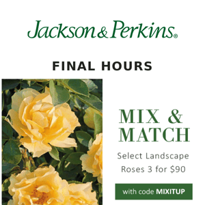 Final Hours for the Mix & Match Sale